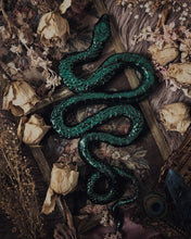 Load image into Gallery viewer, Snake: Peacock Green