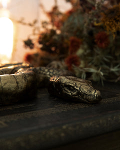 Snake: Gold