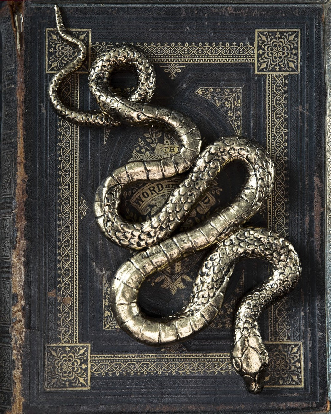 Snake: Gold